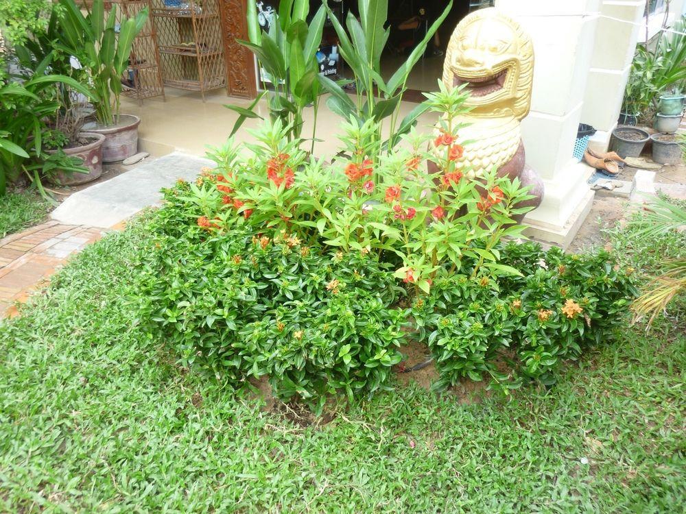 Angkor Reas Guesthouse Siem Reap Exteriör bild