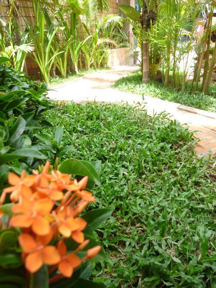 Angkor Reas Guesthouse Siem Reap Exteriör bild